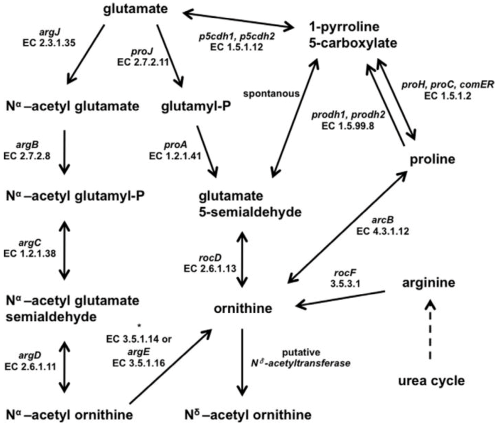Life 03 00234 g003 1024