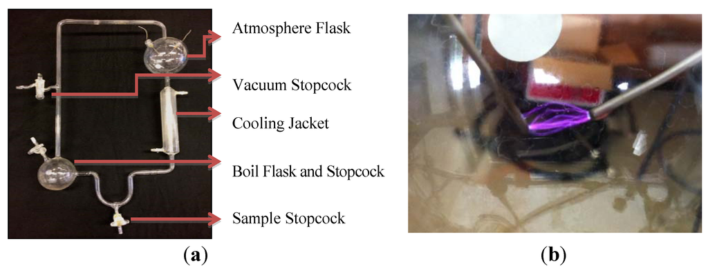 Life 03 00538 g001 1024