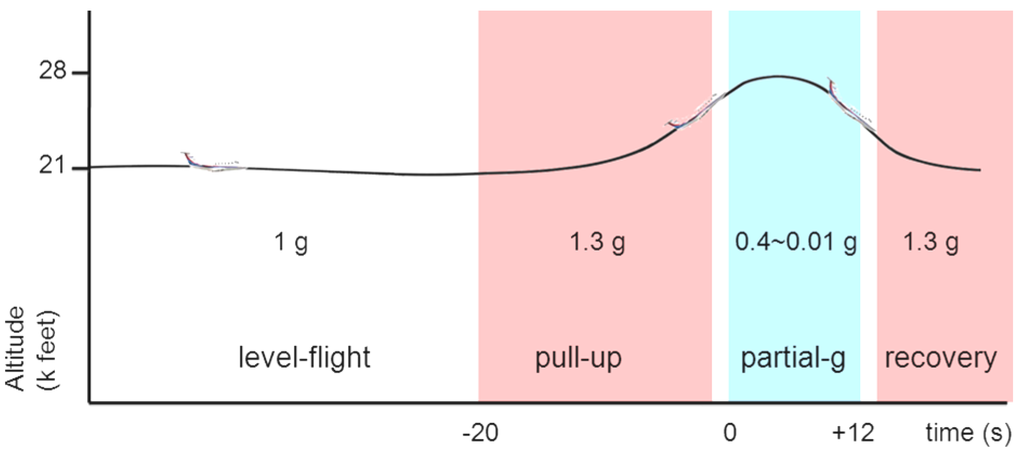 Life 04 00107 g001 1024