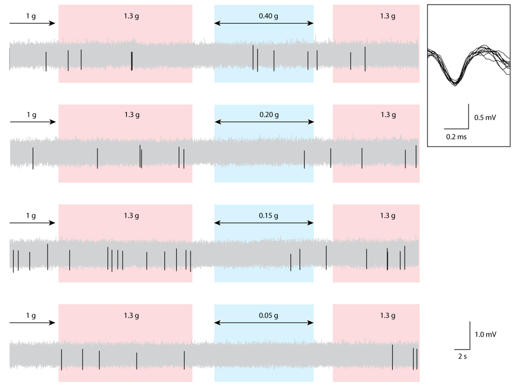 Life 04 00107 g003 1024