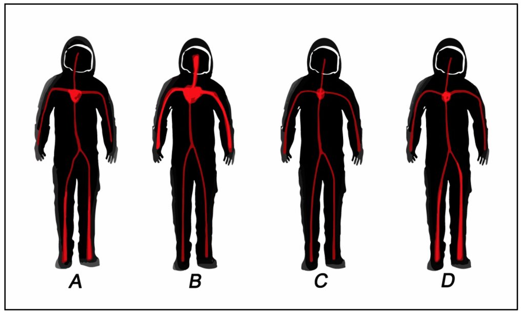 Life 04 00281 g003 1024