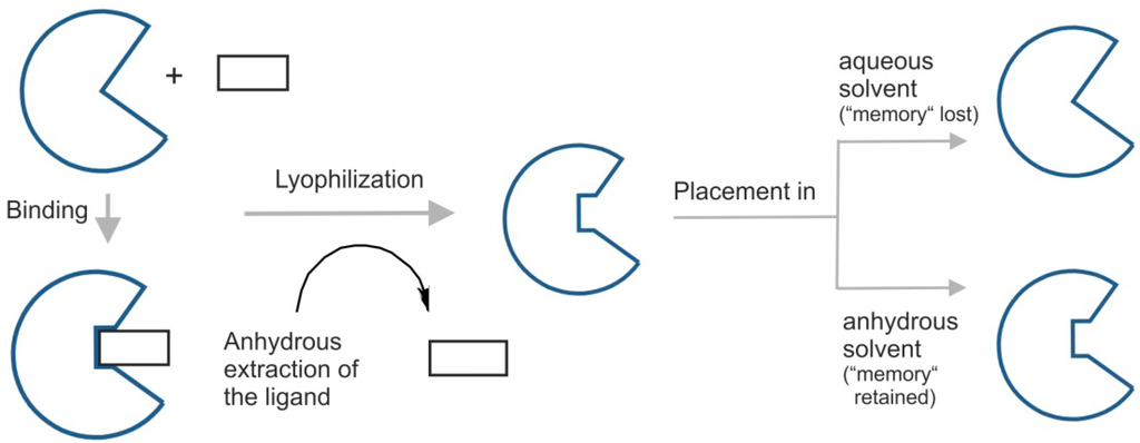 Life 04 00331 g002 1024