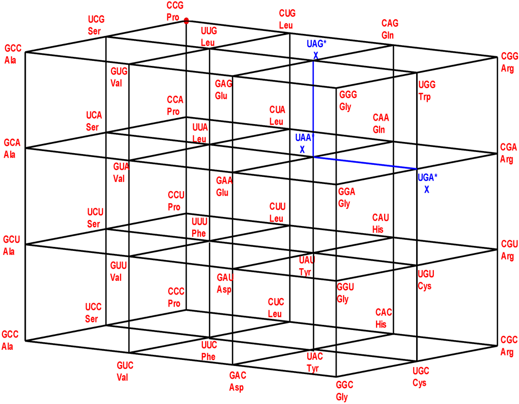 Life 04 00341 g003 1024