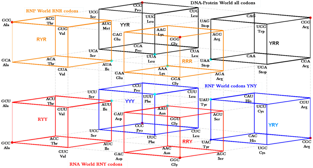 Life 04 00341 g013 1024