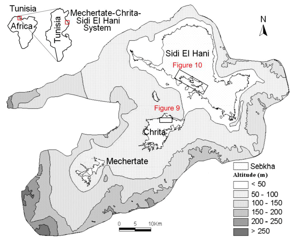 Life 04 00386 g001 1024