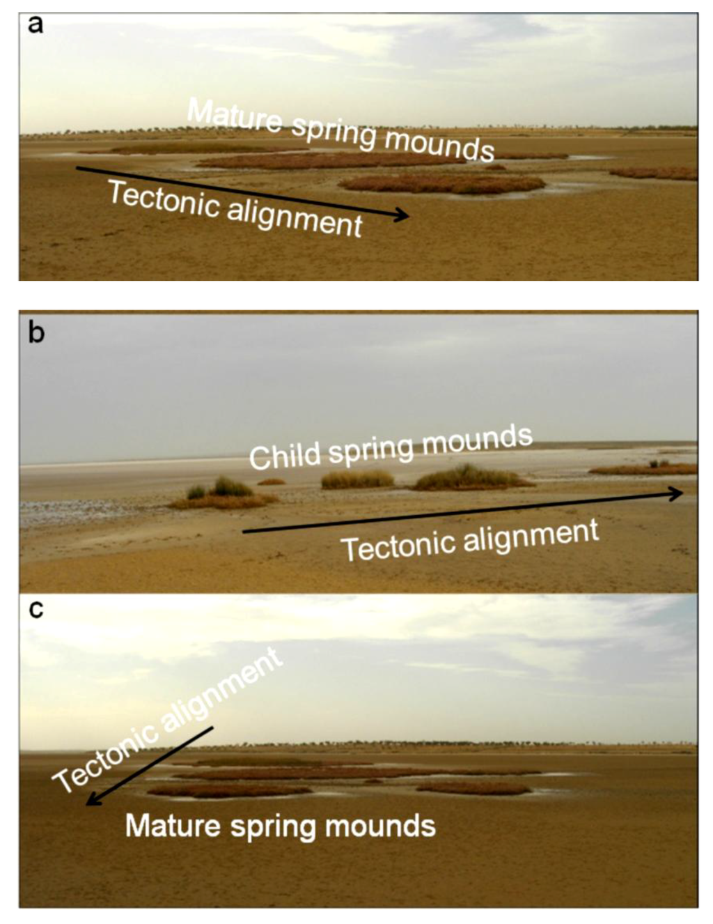 Life 04 00386 g006 1024