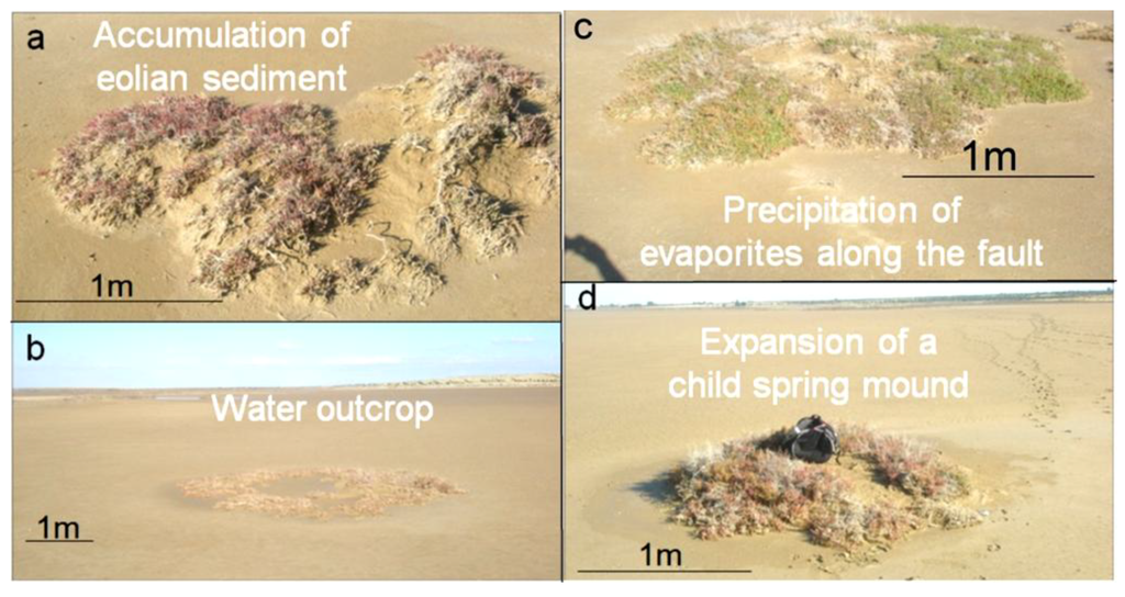 Life 04 00386 g008 1024