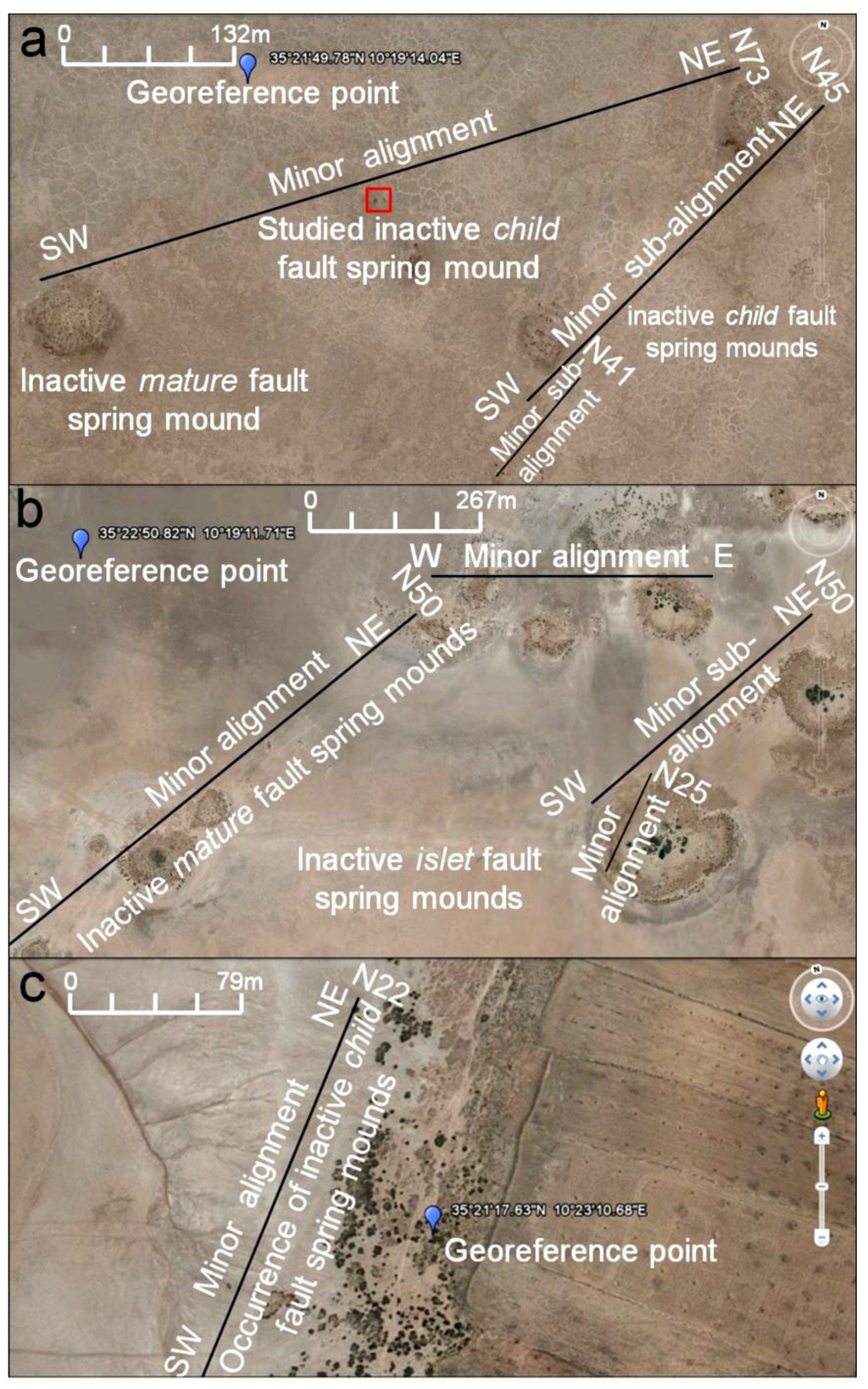 Life 04 00386 g009 1024