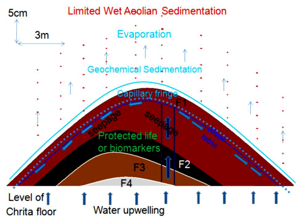 Life 04 00386 g014 1024