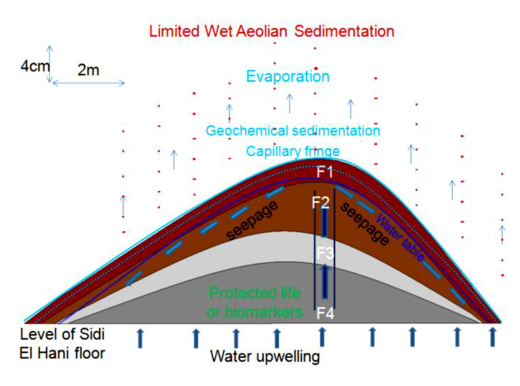 Life 04 00386 g018 1024