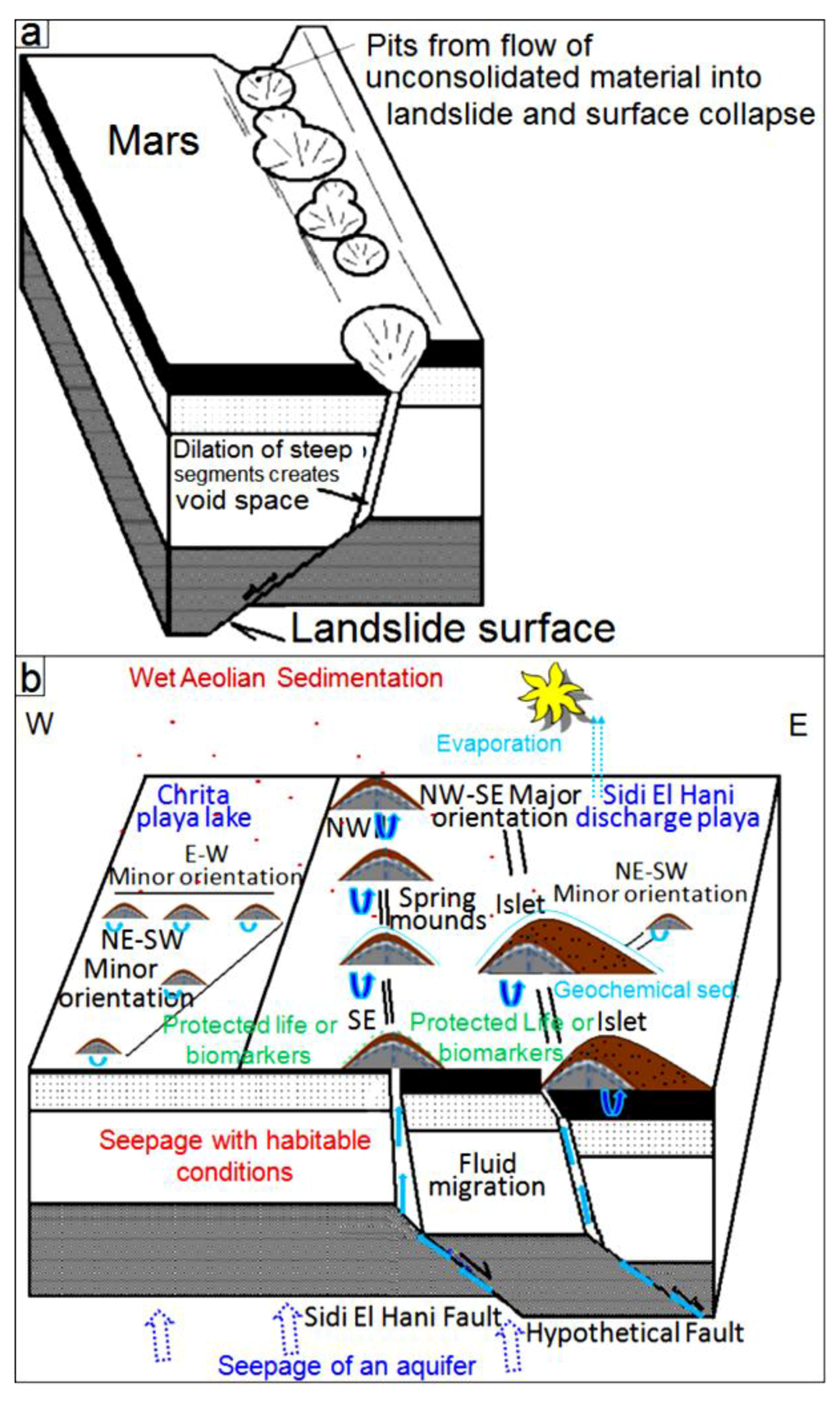 Life 04 00386 g025 1024