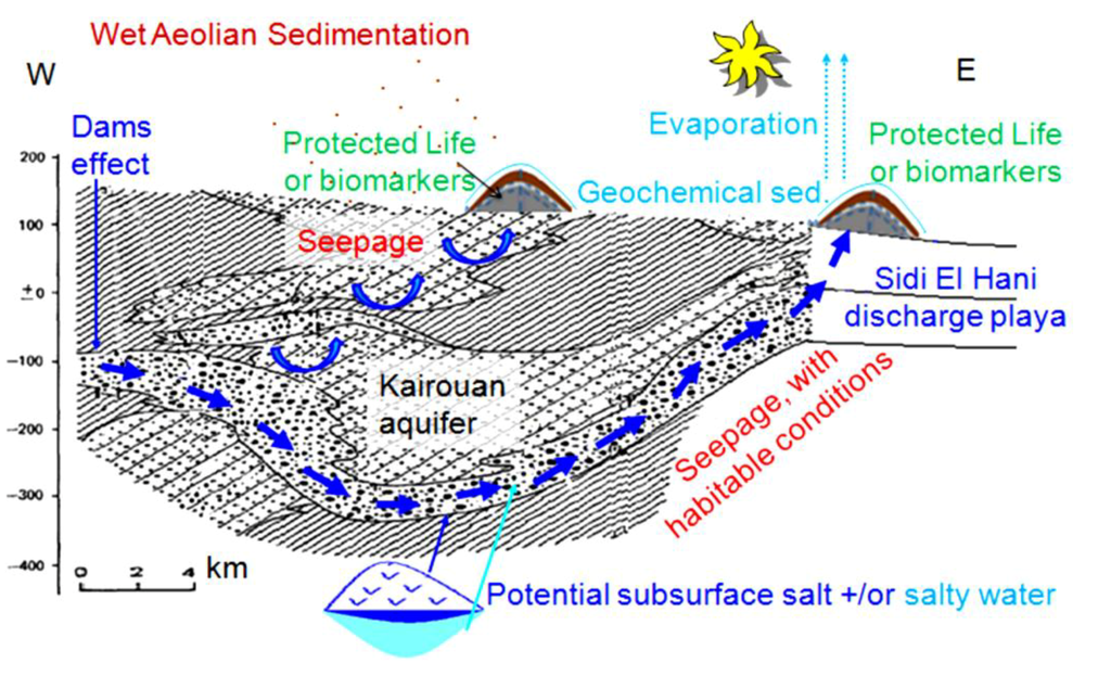 Life 04 00386 g026 1024