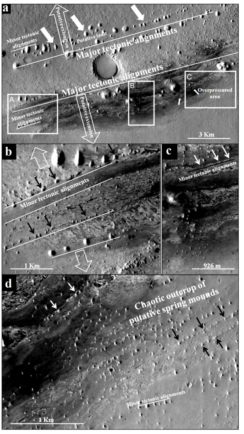 Life 04 00386 g028 1024