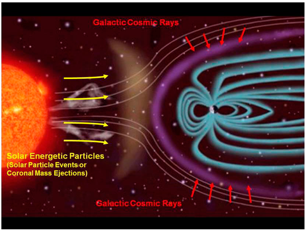 Life 04 00491 g001 1024