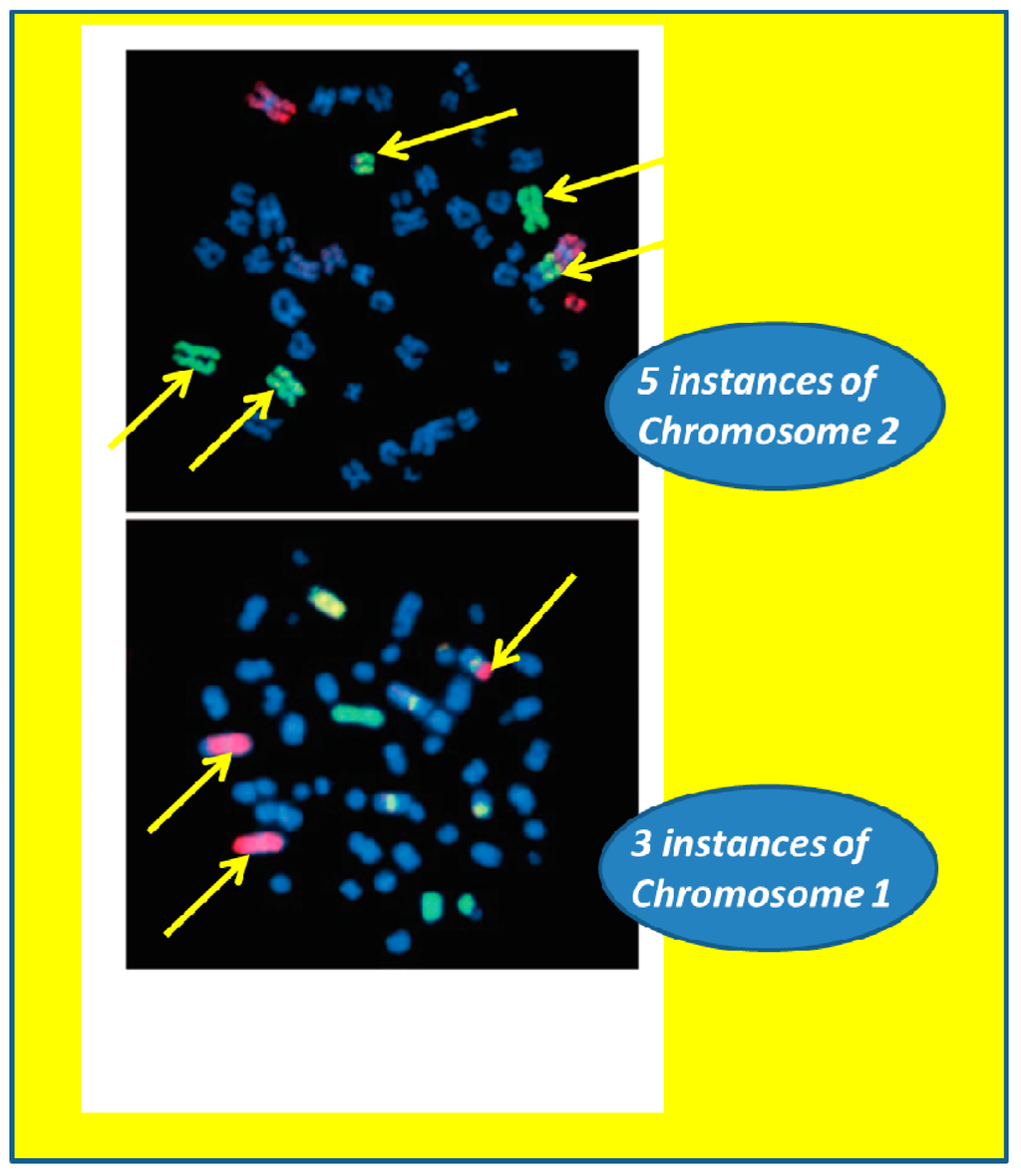 Life 04 00491 g005 1024