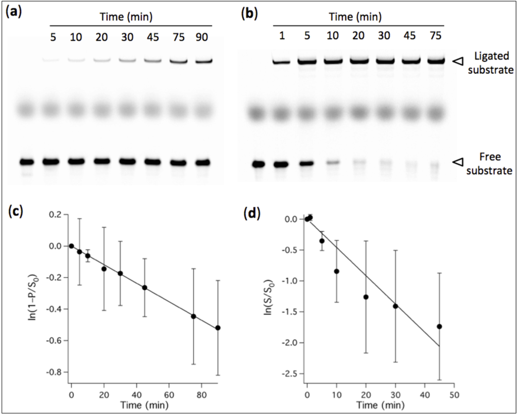 Life 04 00929 g002 1024