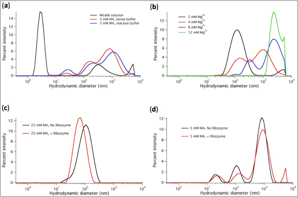 Life 04 00929 g004 1024