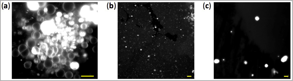 Life 04 00929 g005 1024