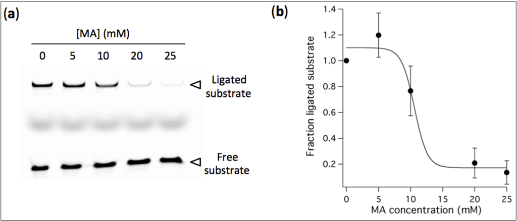 Life 04 00929 g006 1024