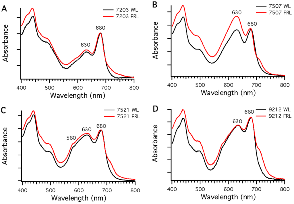Life 05 00004 g003 1024