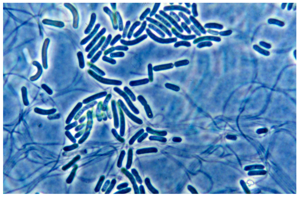 Life 05 00332 g003 1024