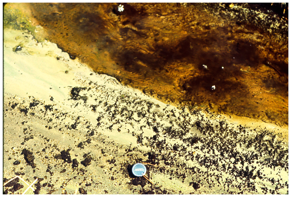 Life 05 00332 g010 1024