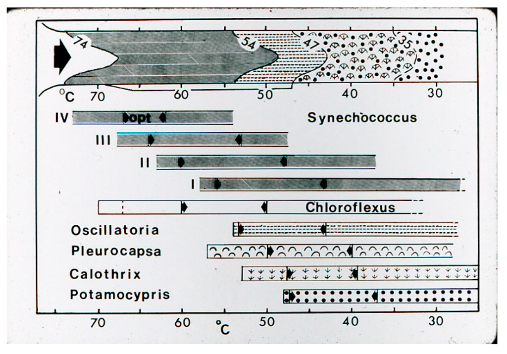Life 05 00332 g018 1024