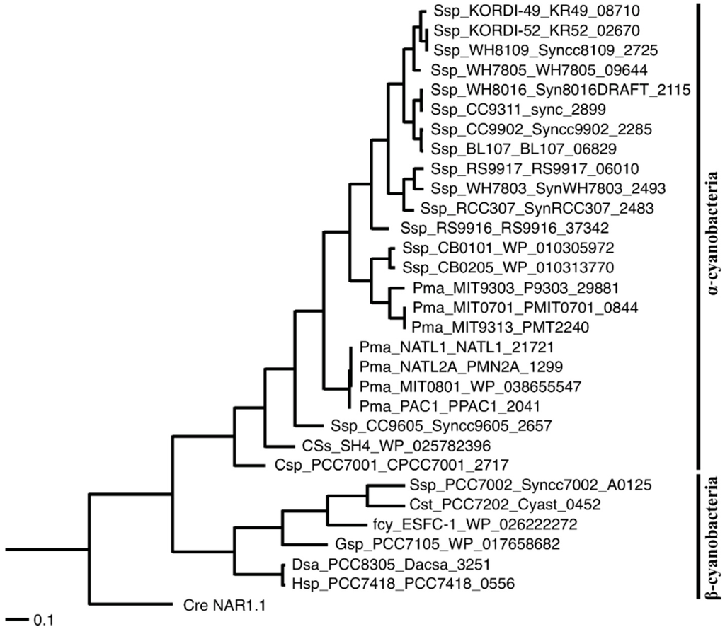 Life 05 00432 g001 1024