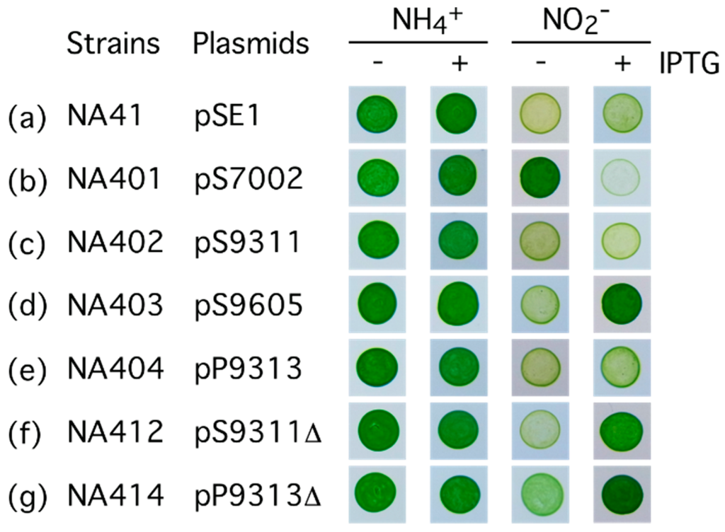 Life 05 00432 g002 1024