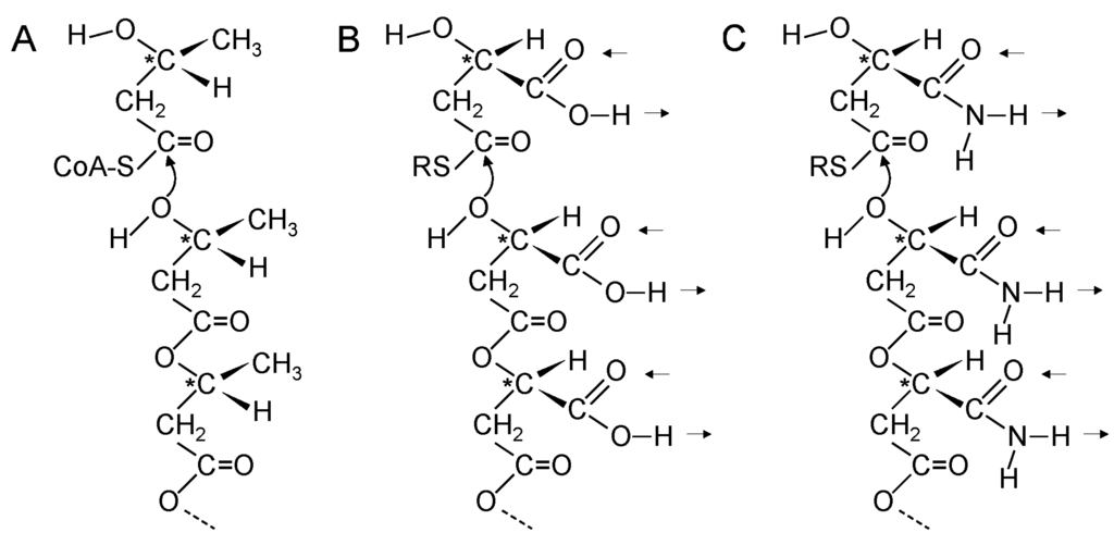 Life 05 00467 g003 1024