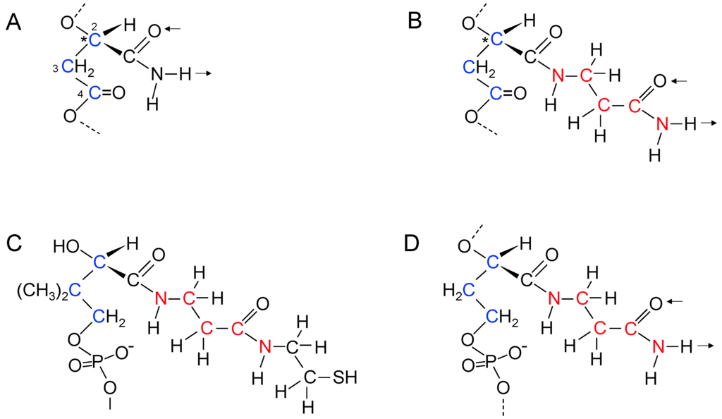 Life 05 00467 g005 1024