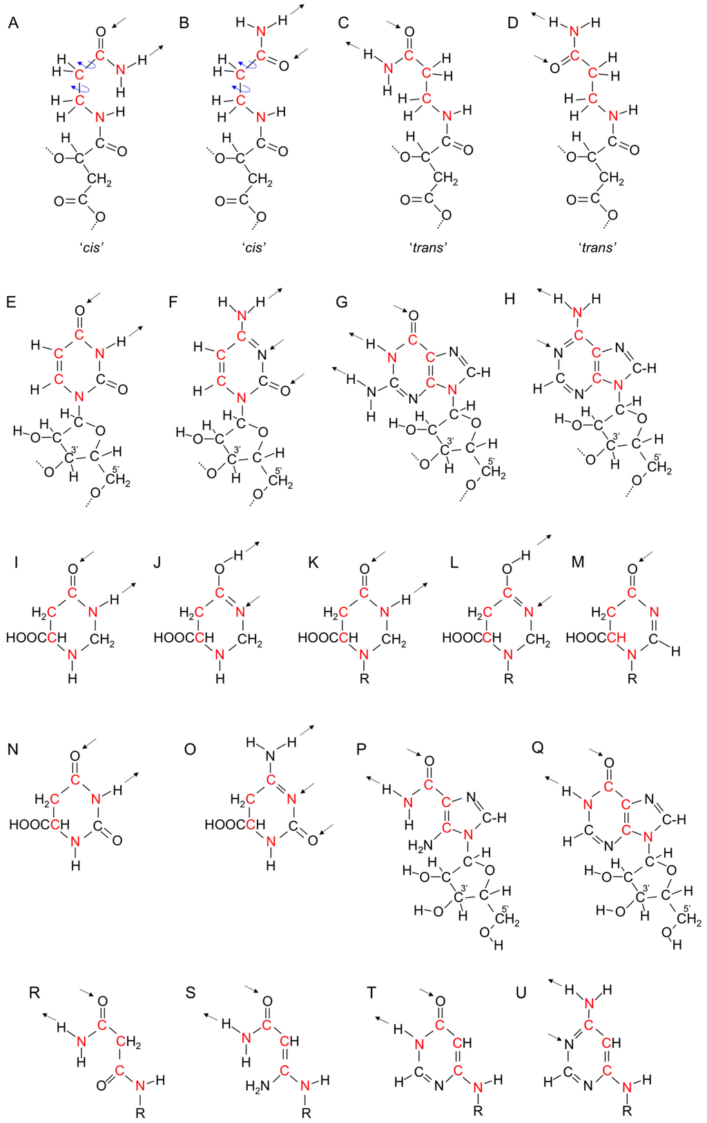 Life 05 00467 g006 1024