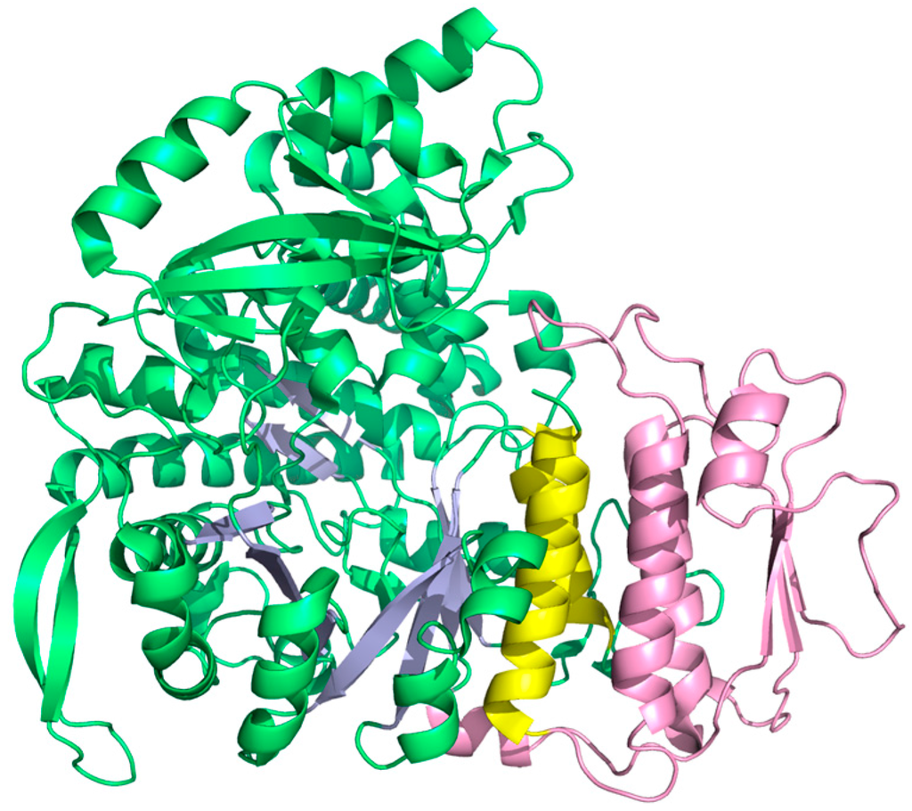 Life 05 00604 g011 1024