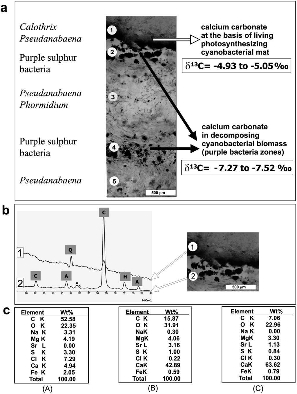 Life 05 00744 g002 1024