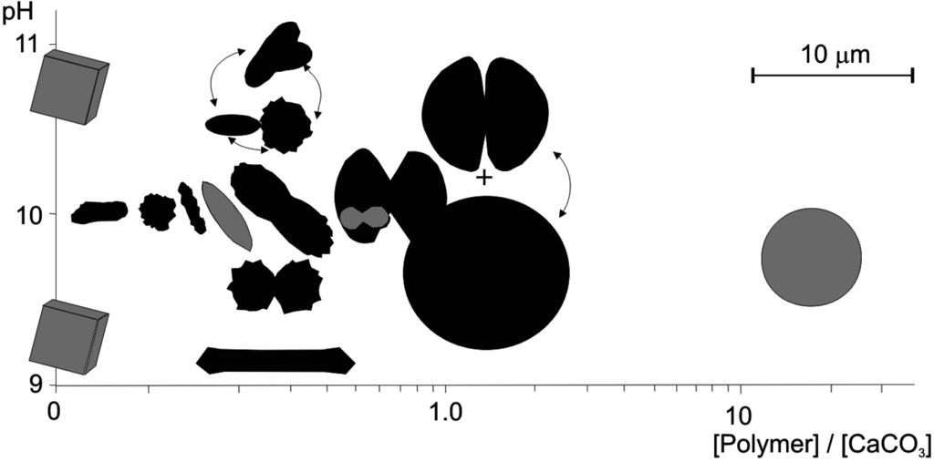 Life 05 00744 g007 1024