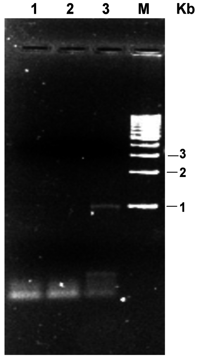 Life 05 00770 g002 1024