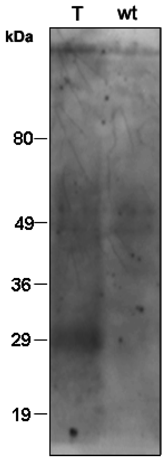 Life 05 00770 g003 1024