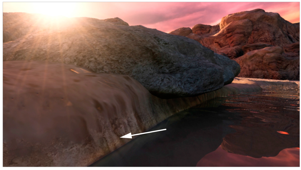 Life 05 00872 g003 1024