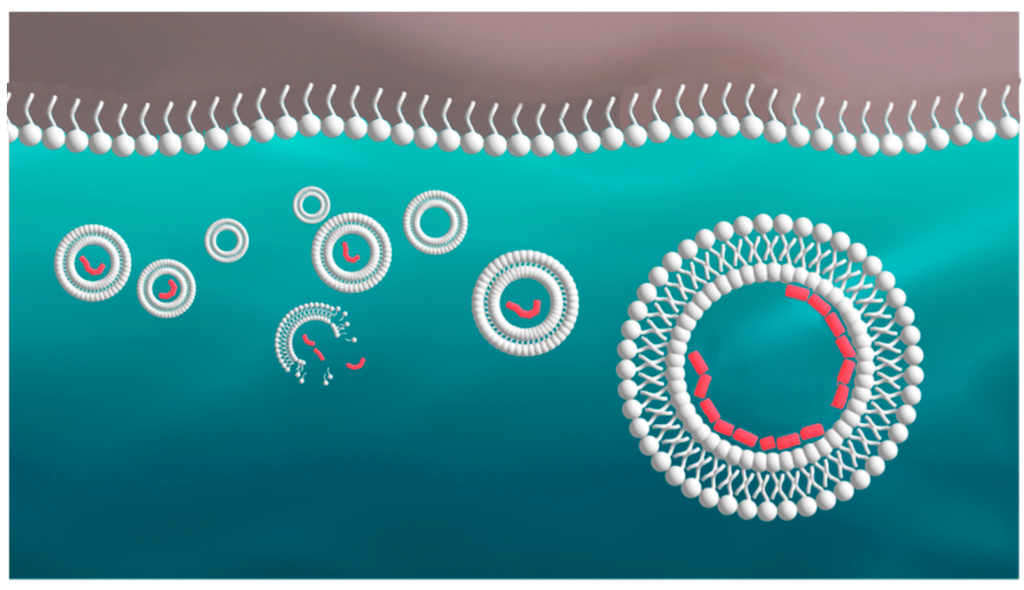 Life 05 00872 g006 1024