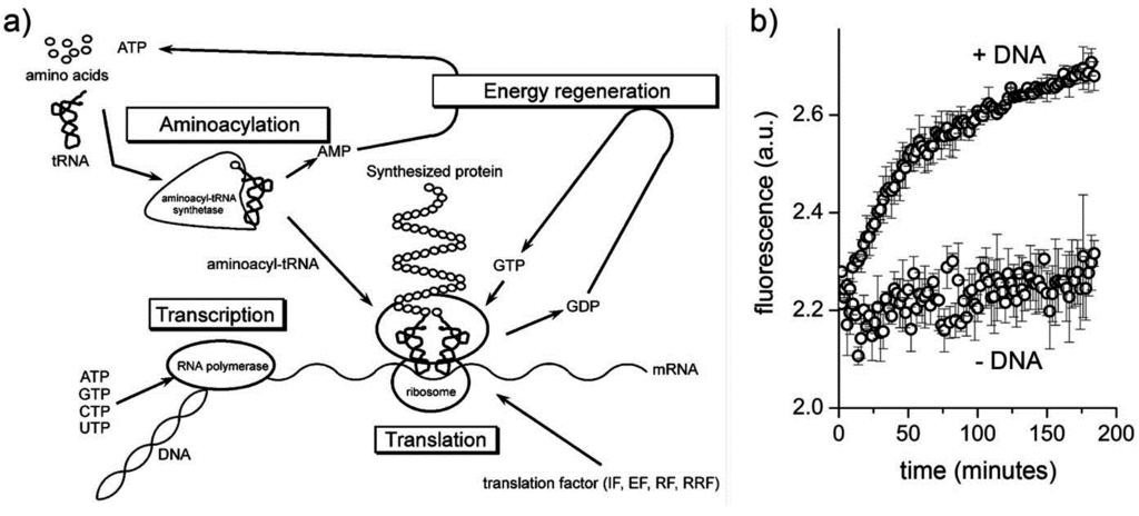 Life 05 00969 g003 1024
