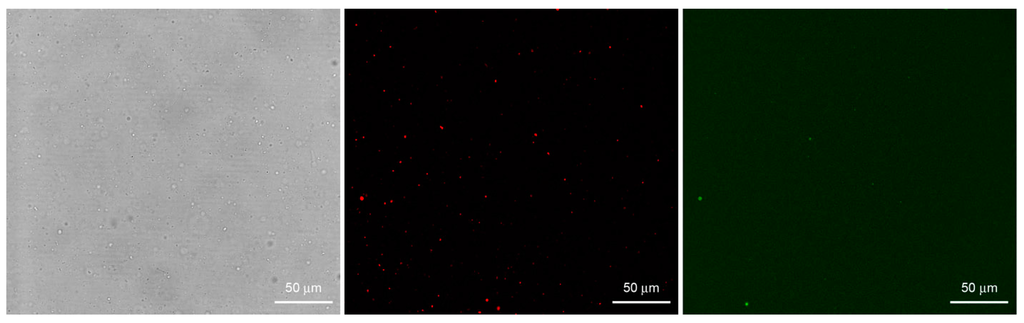 Life 05 00969 g007 1024