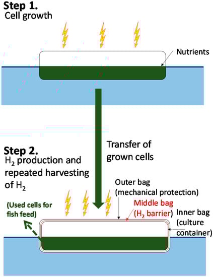 Life 05 00997 g003 550