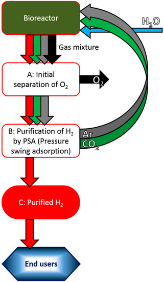 Life 05 00997 g004 550