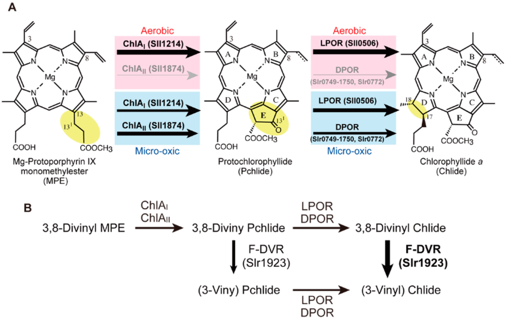 Life 05 01172 g003 1024