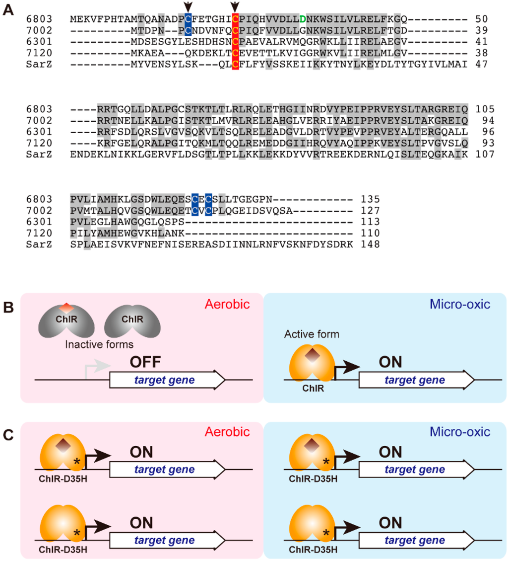 Life 05 01172 g006 1024