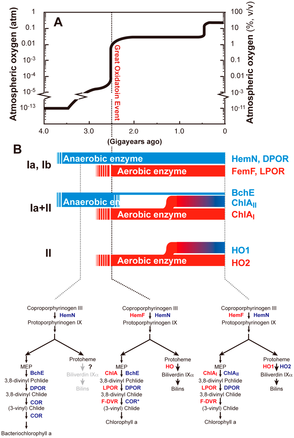 Life 05 01172 g007 1024
