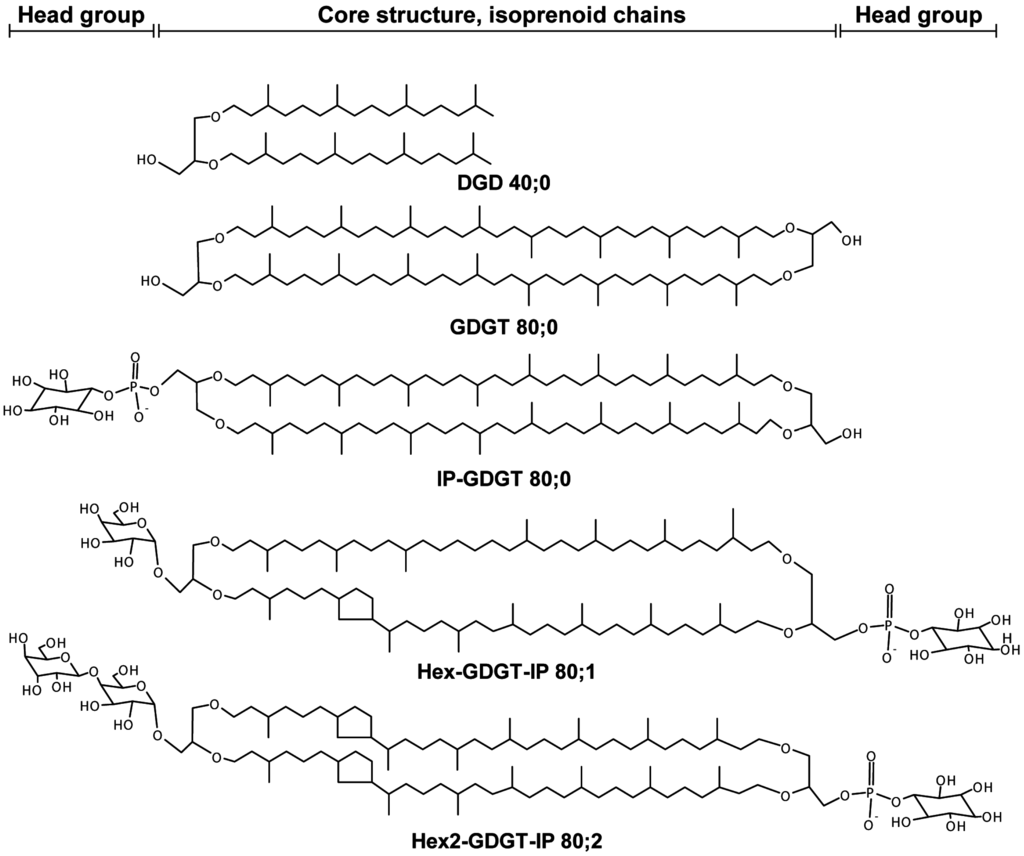 Life 05 01539 g001 1024