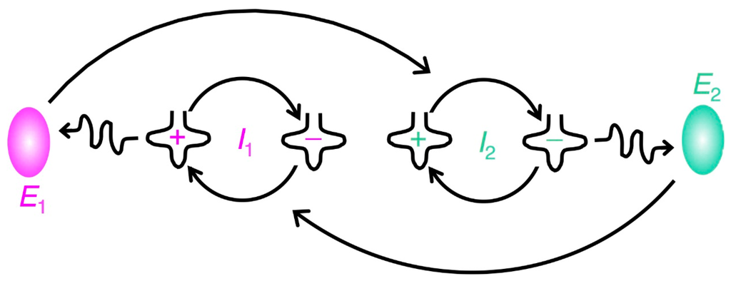 Life 05 01687 g002 1024