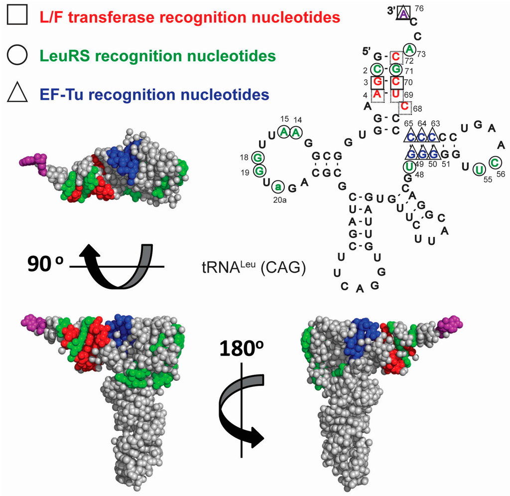 Life 06 00002 g002 1024