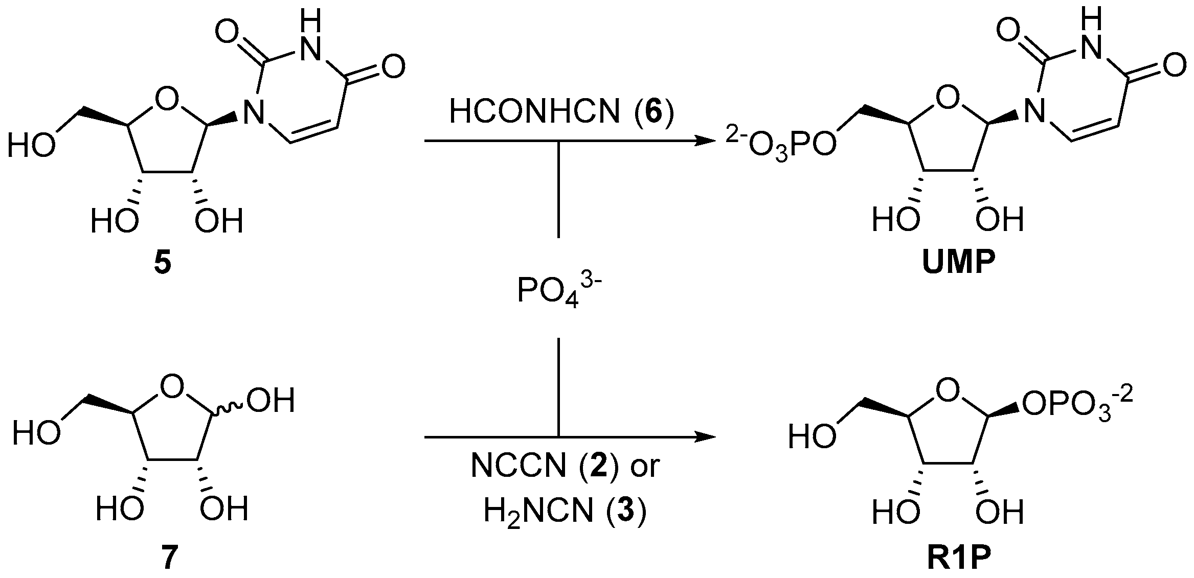 Life 07 00031 sch002